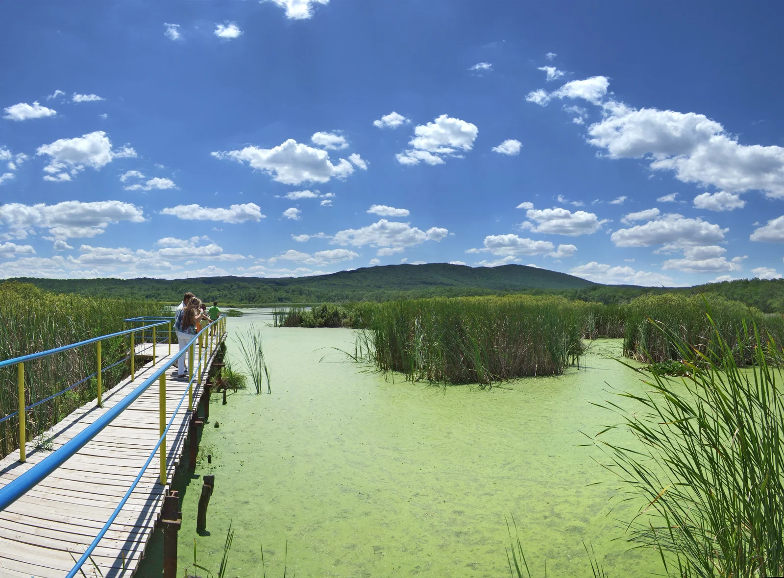 Фотография курорта — Аркутино